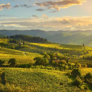 Chianti Classico  Masterclass