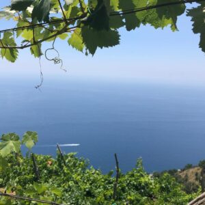 Eroica costiera. Vini tra cielo e mare: Degustazione con le Cantine Marisa Cuomo