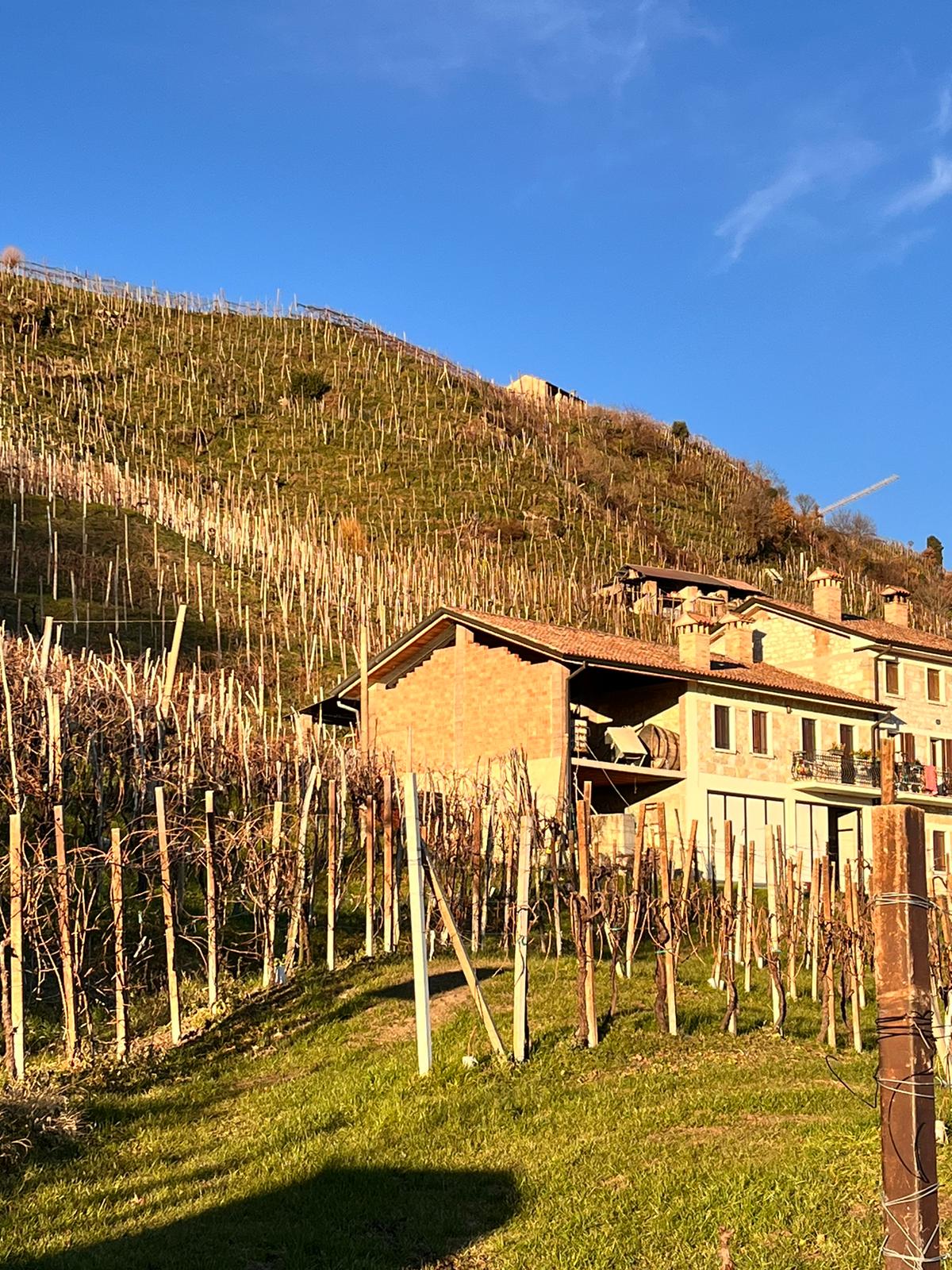 Il Prosecco: Cantina Andreola