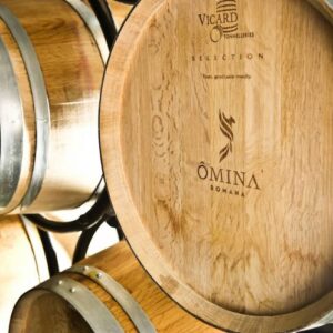 Degustazione vini del Lazio