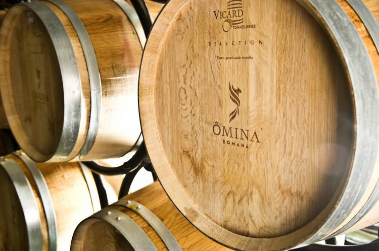 Degustazione vini del Lazio