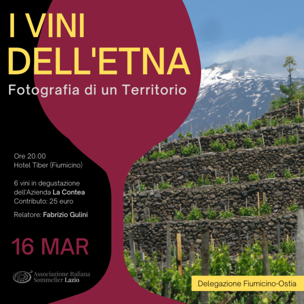 I vini dell'Etna: fotografia di un territorio. - immagine 5