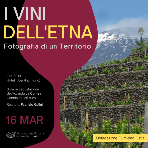 I vini dell'Etna: fotografia di un territorio.