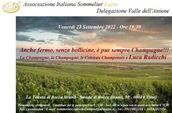 La Champagne, lo Champagne, le Coteaux champenois e Luca Radicchi