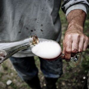 Masterclass sui vini biologici, biodinamici e naturali