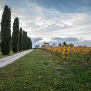 Degustazione e visita presso l’Azienda Emiliano Fini