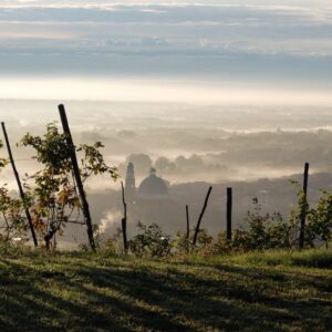 L'Altro Nebbiolo