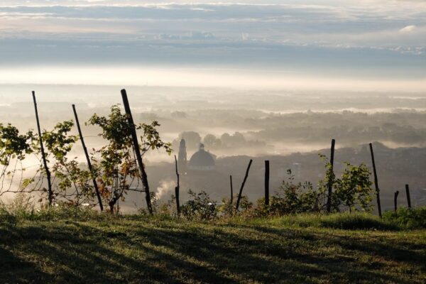 L'Altro Nebbiolo