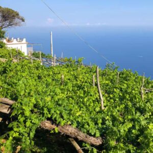 Visite Ais Roma - Week-end in Costiera Amalfitana