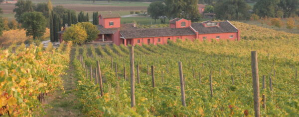 Visite Ais Roma : Azienda Agricola La Palazzola
