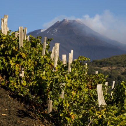Etna, un viaggio tra lave, versanti e vini d'altura