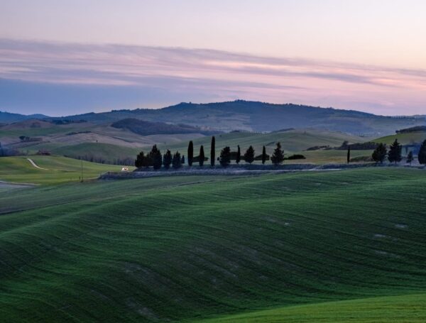 Tre Volti della Toscana con Luca Radicchi - immagine 3