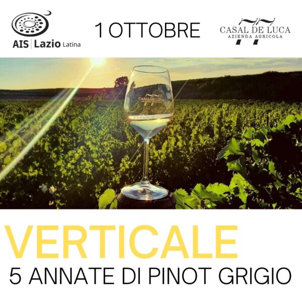 Verticale con passeggiata in vigna