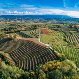 L’ULTIMO LEMBO DELLA TERRA FRIULANA: IL COLLIO E IL CARSO E I LORO GRANDI VINI