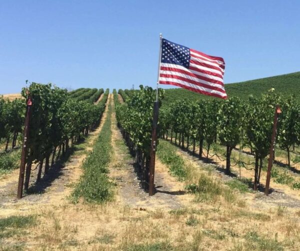American Style, i vini di California ed Oregon