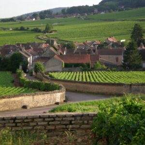 Degustazione Borgogna