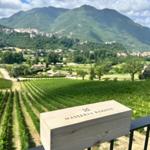 Masseria Barone: visita in cantina