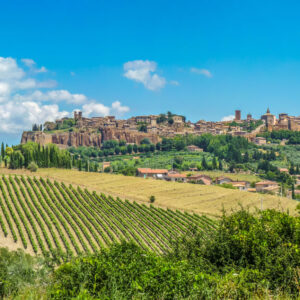 Consorzio vini di Orvieto