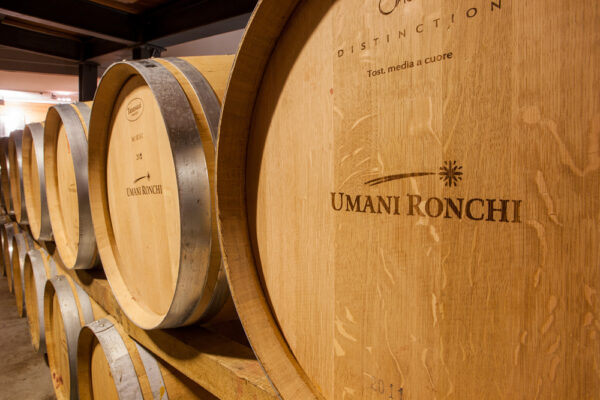 Il Verdicchio secondo Umani Ronchi con Luca Radicchi
